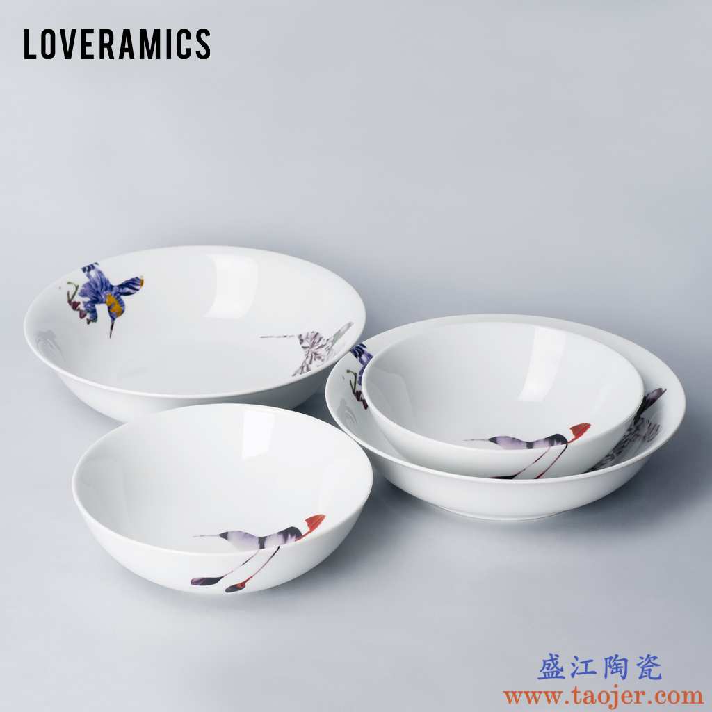 Loveramics 爱陶乐 花鸟 家用餐具套装 汤盘餐盘组合 共享四件套